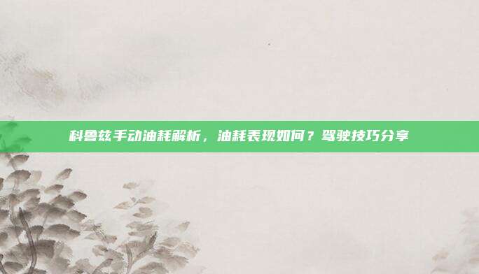 科鲁兹手动油耗解析,油耗表现如何?驾驶技巧分享