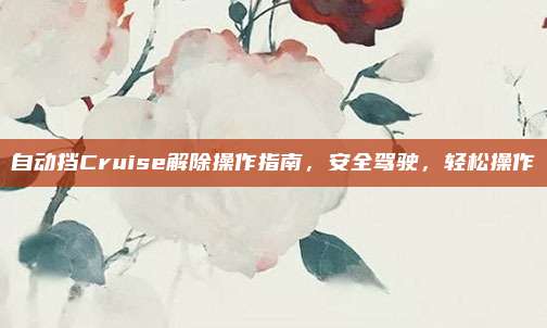 自动挡Cruise解除操作指南,安全驾驶,轻松操作