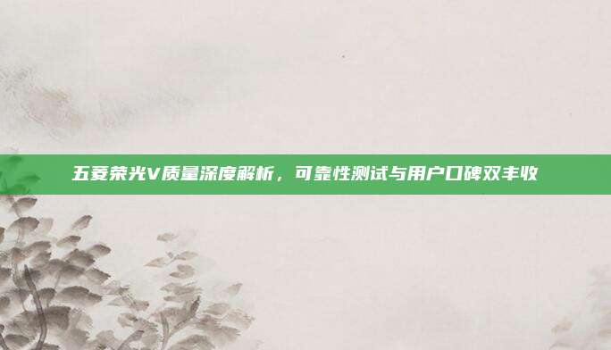 五菱荣光V质量深度解析，可靠性测试与用户口碑双丰收