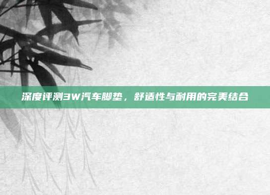 深度评测3W汽车脚垫，舒适性与耐用的完美结合
