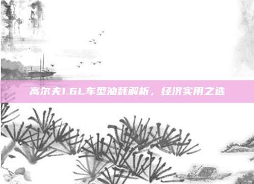 高尔夫1.6L车型油耗解析,经济实用之选