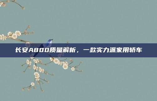 长安A800质量解析,一款实力派家用轿车