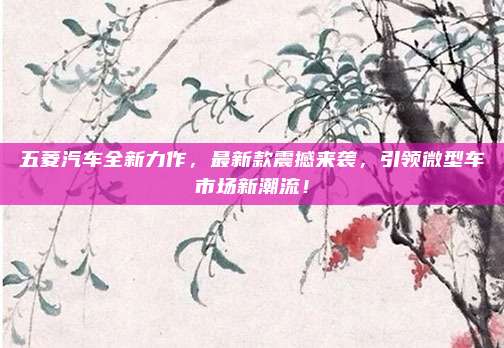 五菱汽车全新力作,最新款震撼来袭,引领微型车市场新潮流!