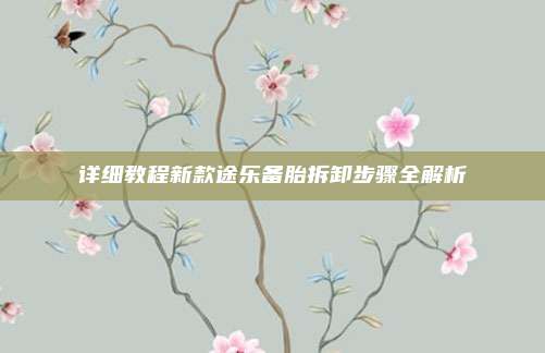 详细教程新款途乐备胎拆卸步骤全解析
