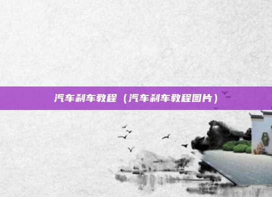 汽车刹车教程（汽车刹车教程图片）