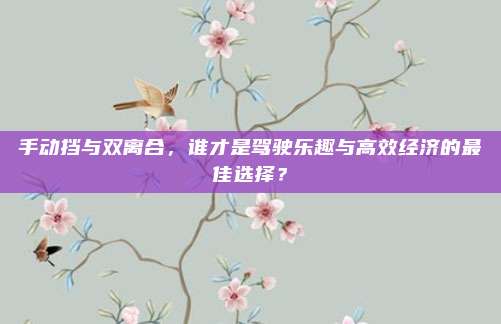 手动挡与双离合，谁才是驾驶乐趣与高效经济的最佳选择？