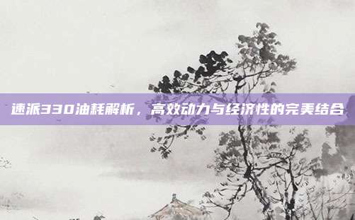 速派330油耗解析,高效动力与经济性的完美结合