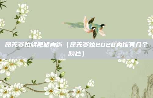 昂克赛拉旗舰版内饰（昂克赛拉2020内饰有几个颜色）