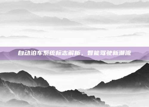 自动泊车系统标志解析,智能驾驶新潮流