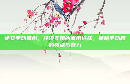 途安手动风尚，经济实用的家用选择，揭秘手动版的亮点与魅力