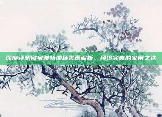 深度评测欧宝雅特油耗表现解析，经济实惠的家用之选