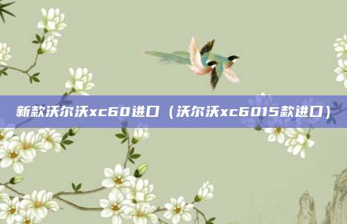 新款沃尔沃xc60进口（沃尔沃xc6015款进口）