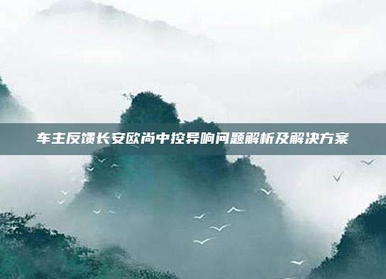 车主反馈长安欧尚中控异响问题解析及解决方案
