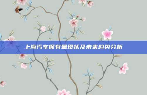 上海汽车保有量现状及未来趋势分析