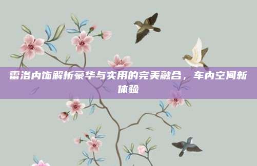 雷洛内饰解析豪华与实用的完美融合，车内空间新体验