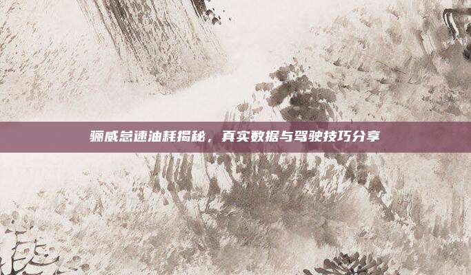 骊威怠速油耗揭秘,真实数据与驾驶技巧分享