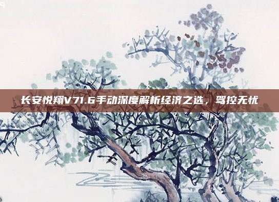长安悦翔V71.6手动深度解析经济之选,驾控无忧