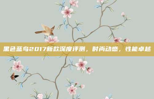 黑色蓝鸟2017新款深度评测，时尚动感，性能卓越