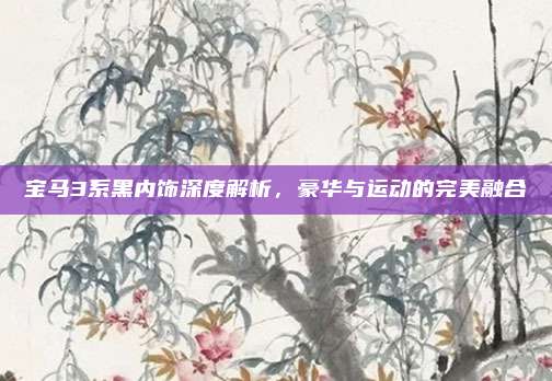 宝马3系黑内饰深度解析，豪华与运动的完美融合