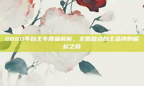2020年自主车质量解析,全面盘点自主品牌的崛起之路