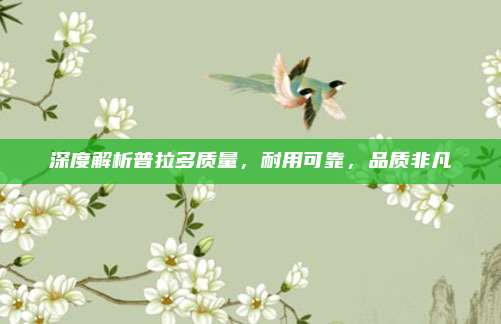 深度解析普拉多质量,耐用可靠,品质非凡