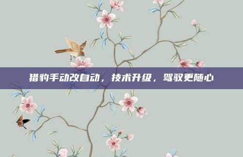猎豹手动改自动,技术升级,驾驭更随心
