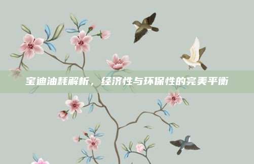 宝迪油耗解析,经济性与环保性的完美平衡