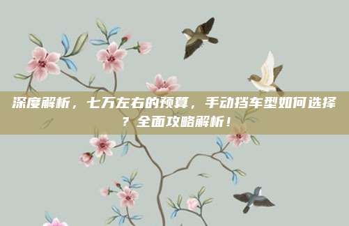 深度解析,七万左右的预算,手动挡车型如何选择?全面攻略解析!