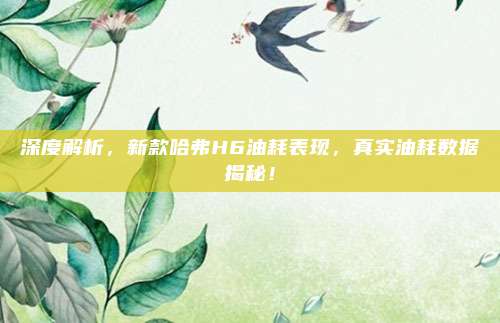 深度解析,新款哈弗H6油耗表现,真实油耗数据揭秘!