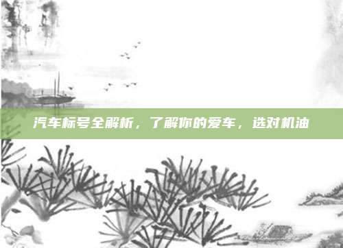 汽车标号全解析，了解你的爱车，选对机油