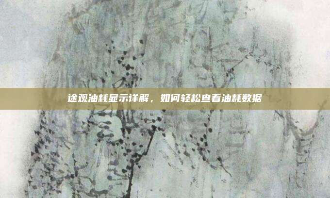 途观油耗显示详解，如何轻松查看油耗数据