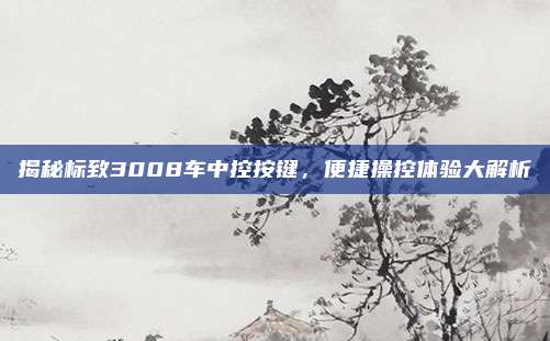 揭秘标致3008车中控按键,便捷操控体验大解析