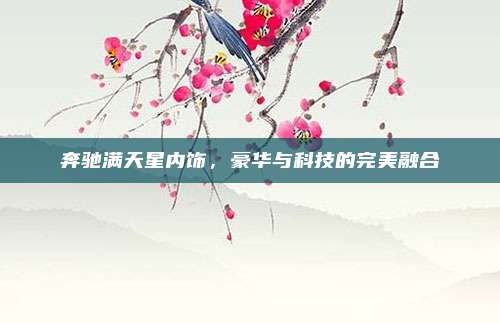 奔驰满天星内饰,豪华与科技的完美融合