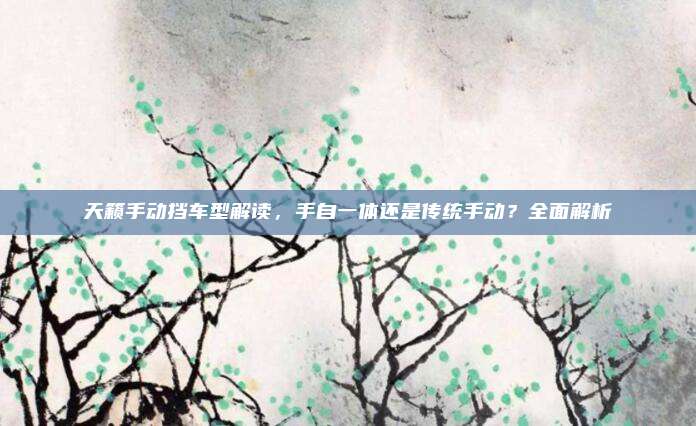 天籁手动挡车型解读，手自一体还是传统手动？全面解析