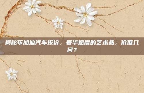 揭秘布加迪汽车报价，奢华速度的艺术品，价值几何？