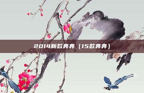 2014新款奔奔（15款奔奔）