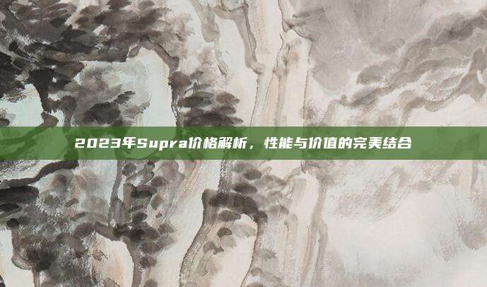 2023年Supra价格解析,性能与价值的完美结合