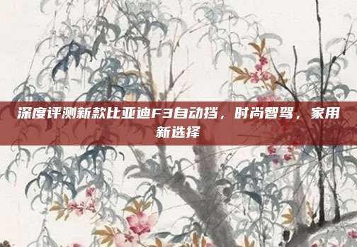 深度评测新款比亚迪F3自动挡,时尚智驾,家用新选择