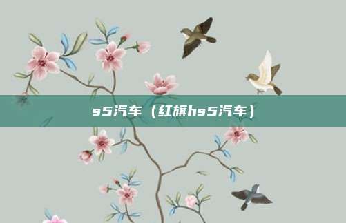 s5汽车（红旗hs5汽车）