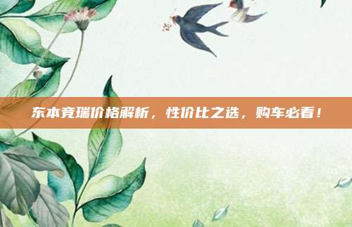 东本竞瑞价格解析,性价比之选,购车必看!