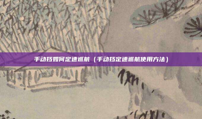 手动挡如何定速巡航（手动挡定速巡航使用方法）