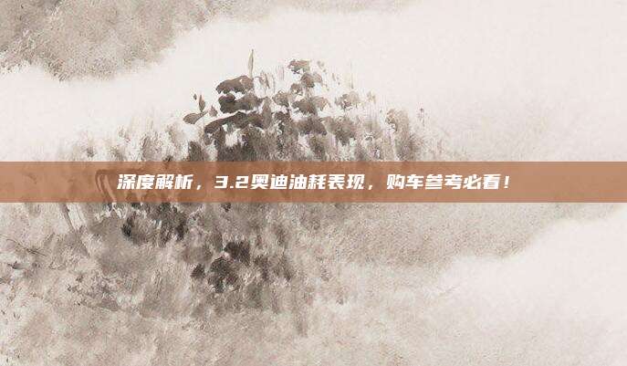深度解析，3.2奥迪油耗表现，购车参考必看！