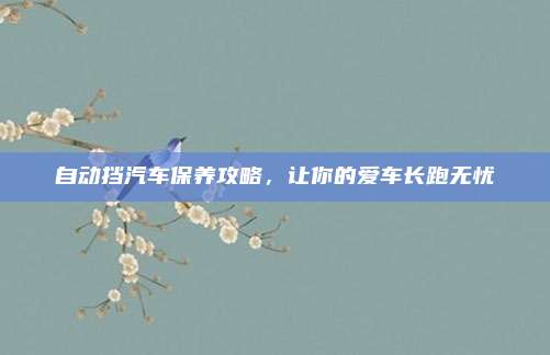 自动挡汽车保养攻略,让你的爱车长跑无忧