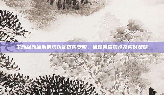 主动制动辅助系统功能范围受限，揭秘其局限性及应对策略