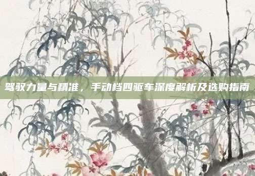 驾驭力量与精准,手动档四驱车深度解析及选购指南