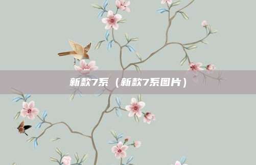 新款7系(新款7系图片)
