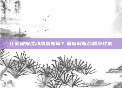比亚迪宋混动质量如何?深度解析品质与性能