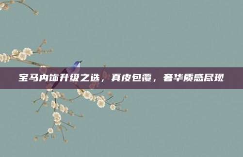 宝马内饰升级之选,真皮包覆,奢华质感尽现