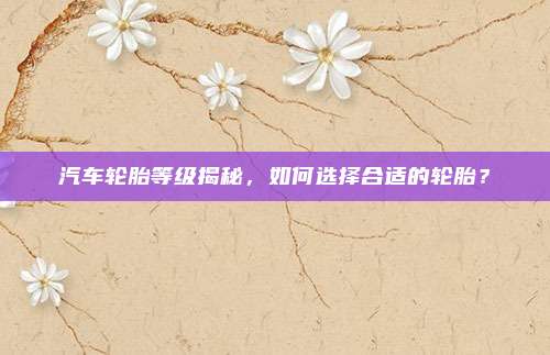 汽车轮胎等级揭秘,如何选择合适的轮胎?