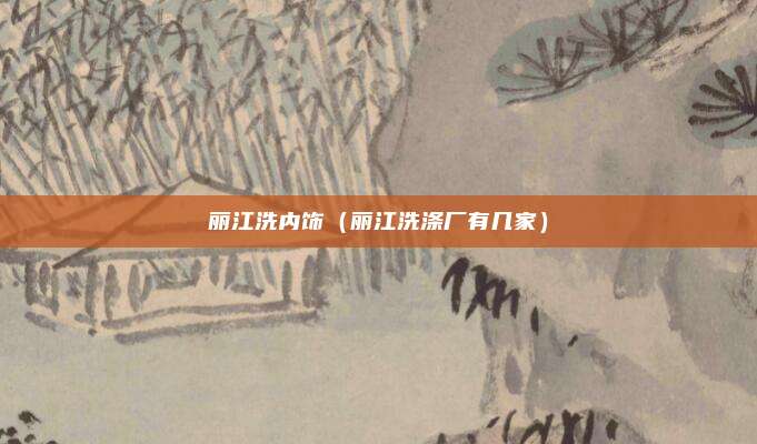 丽江洗内饰（丽江洗涤厂有几家）